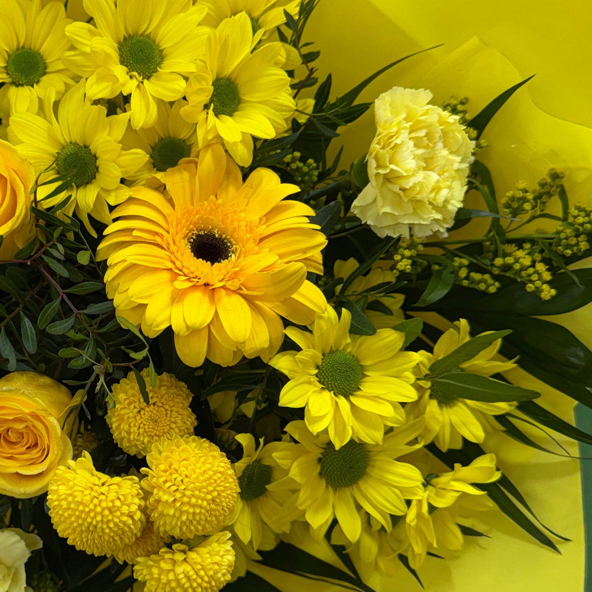 Ramo Yellow