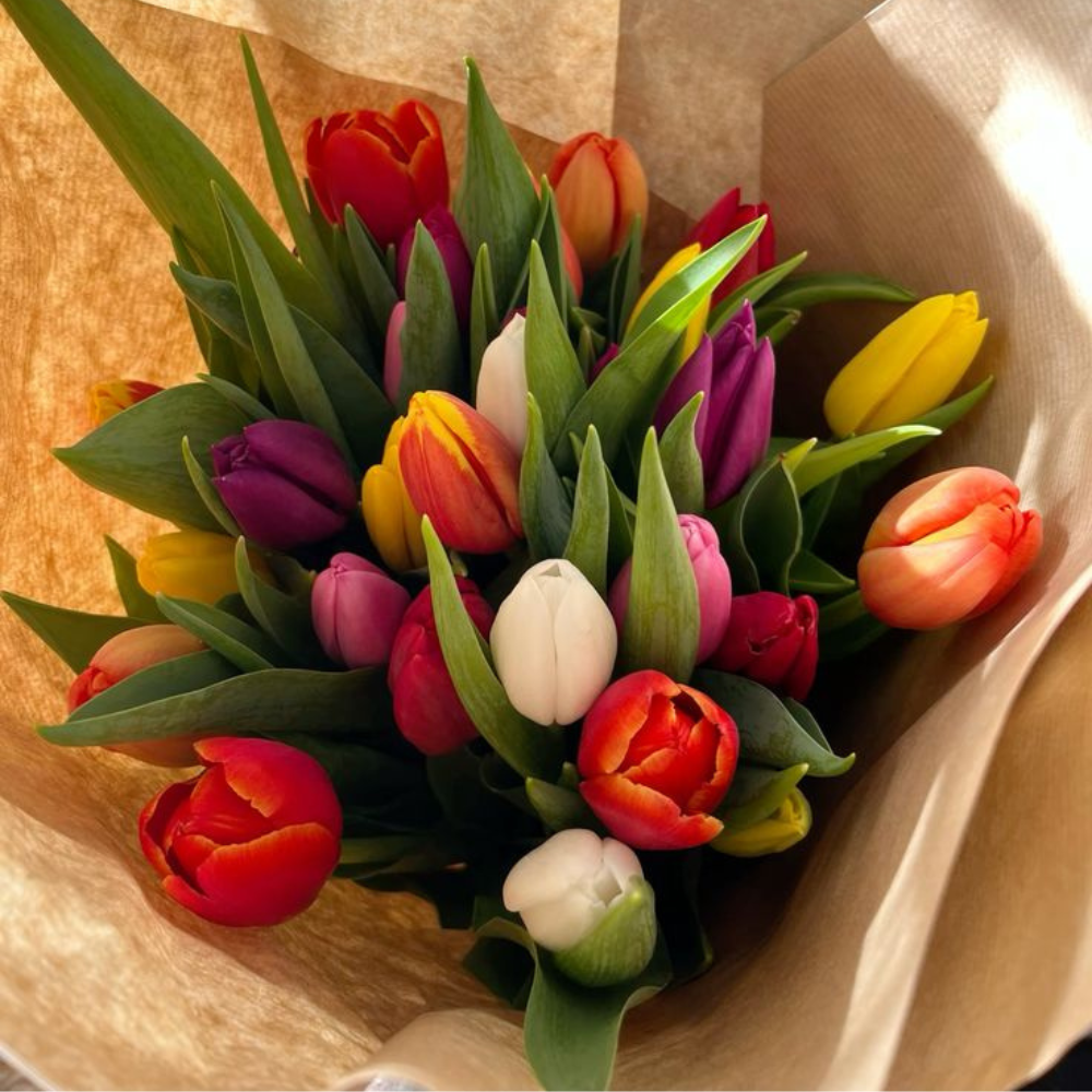 Ramo variado de 10 tulipanes